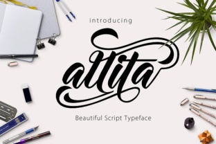 Allita Font: A Fluid Script for Digital Branding