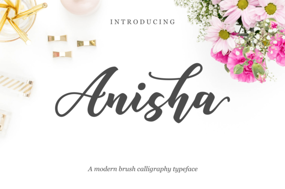 Anisha Font: Modern Brush Script for Web Design