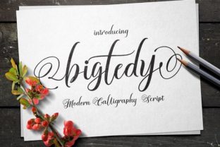 Bigtedy Font: Professional Script for Digital Branding