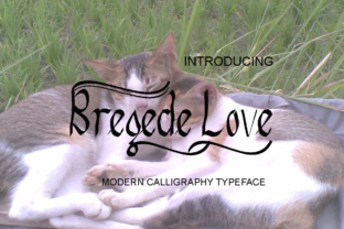 Bregede Love Font: A Designer’s Real Branding Test