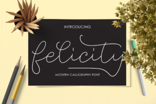 Felicity Font: Calligraphic Script for Small Business Branding