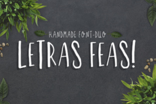Letras Feas Font: Elegant Script for Modern Design