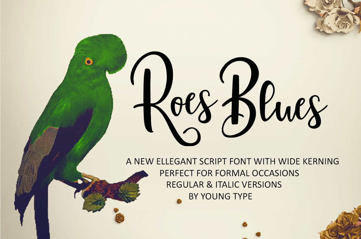 Roes Blues Font Review for Modern Editorial Design