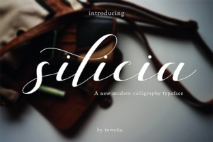 Silicia Font Review: Script Handwritten Style for Campaigns